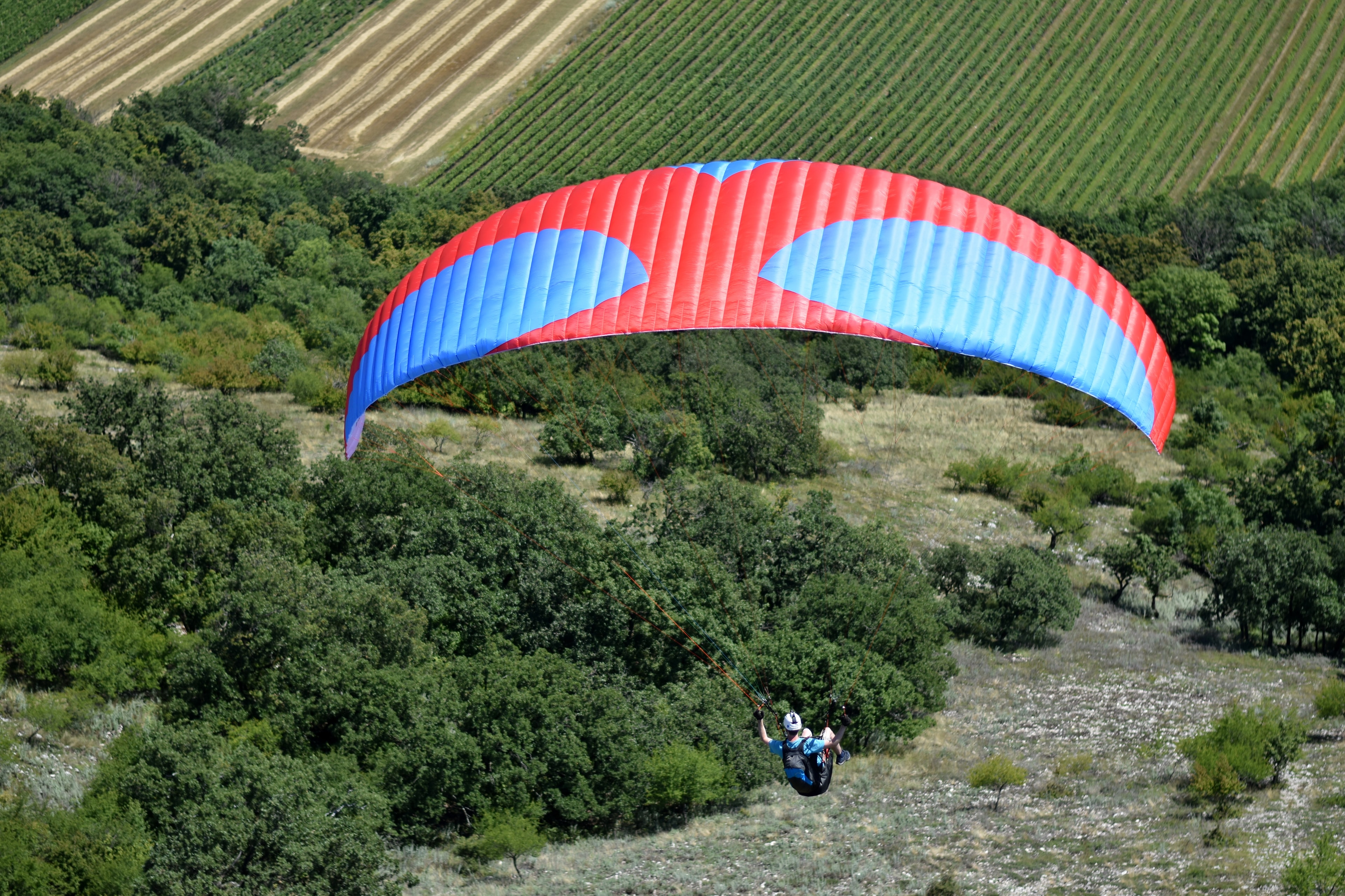 Drift paragliders Carancho
