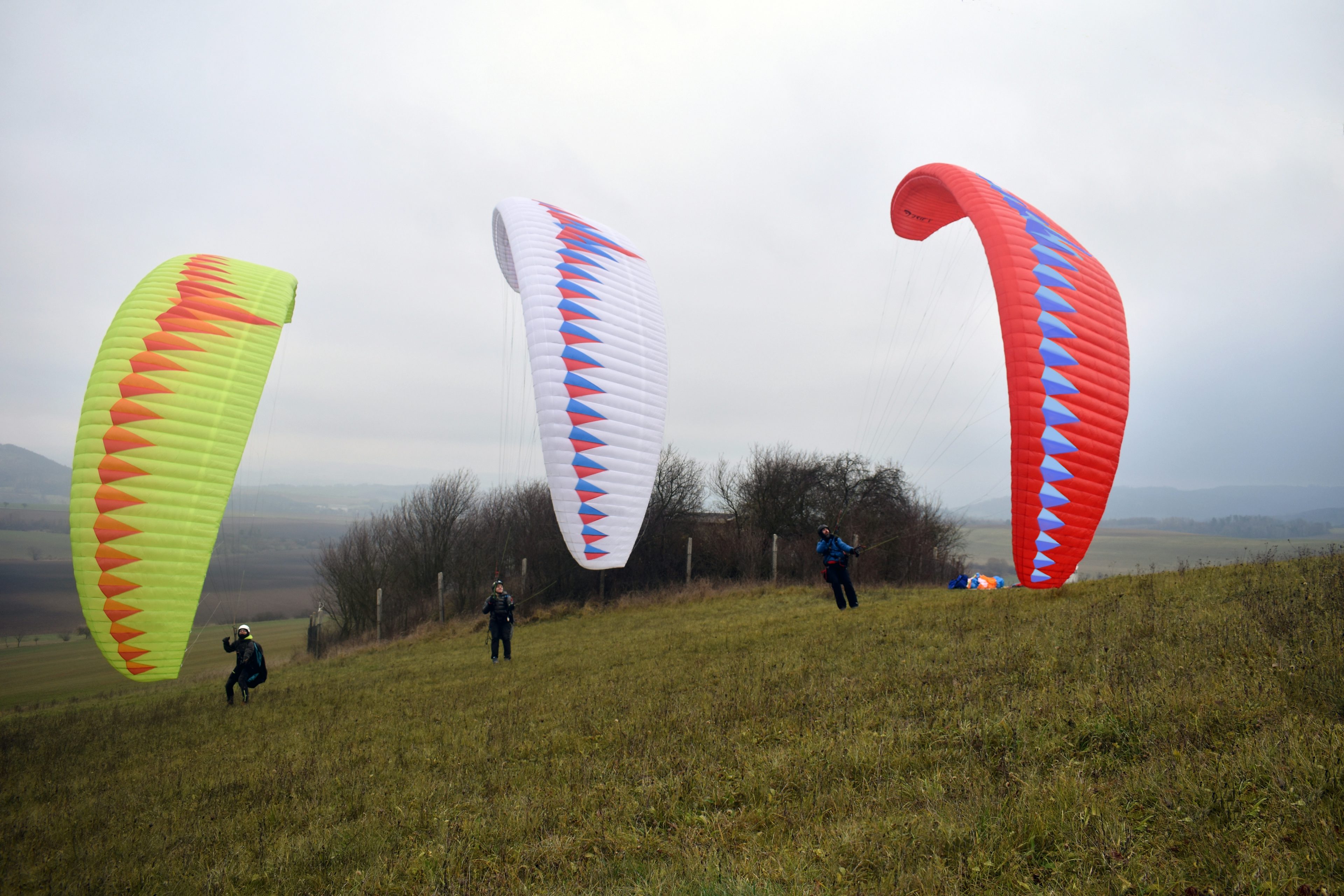 Drift paragliders Merlin serial colors